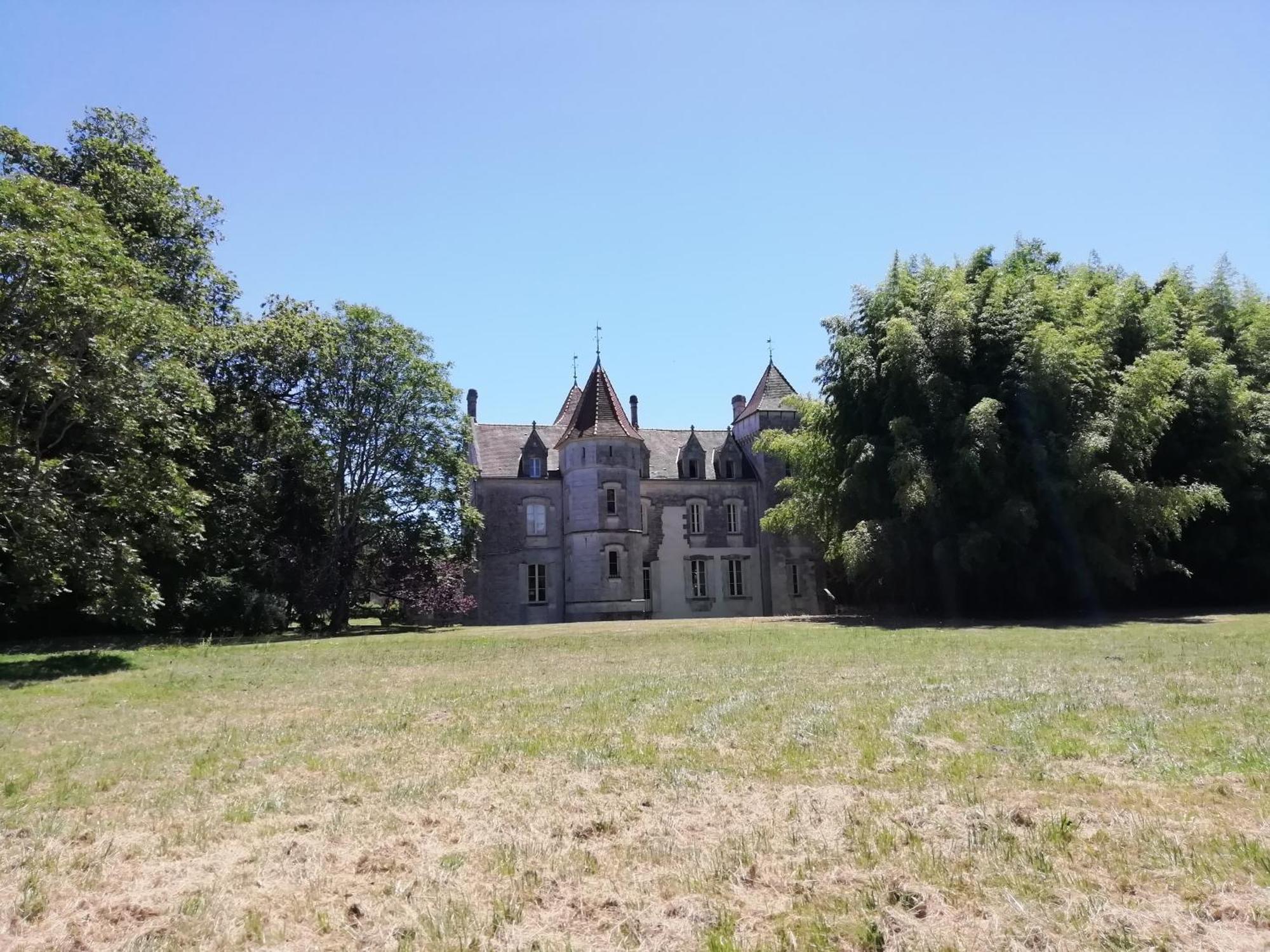 Chateau Des Salles Saint-Fort-sur-Gironde Exterior foto